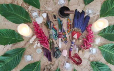 The Safe Use of Plant Medicine (in a Guided Ceremony)